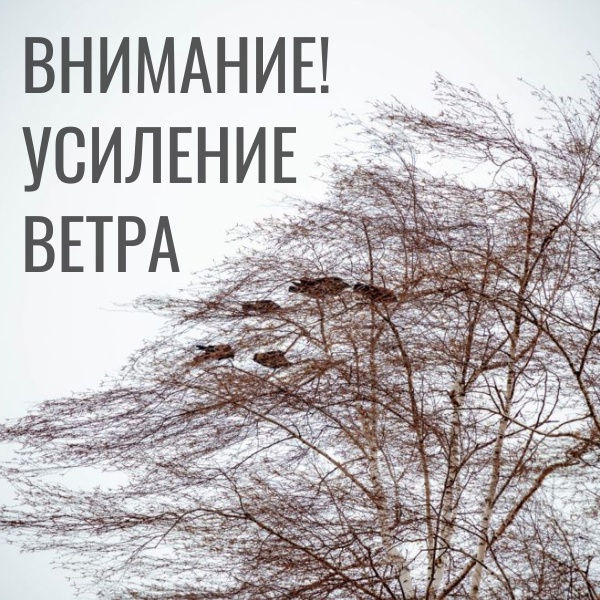 Цгмс филиала фгбу приволжское угмс
